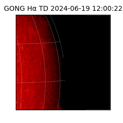 gong - 2024-06-19T12:00:22