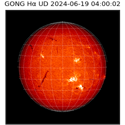 gong - 2024-06-19T04:00:02