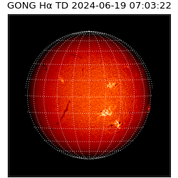 gong - 2024-06-19T07:03:22