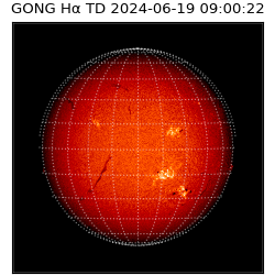 gong - 2024-06-19T09:00:22