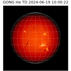 gong - 2024-06-19T10:00:22