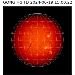gong - 2024-06-19T15:00:22