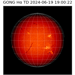 gong - 2024-06-19T19:00:22