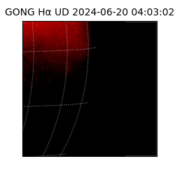 gong - 2024-06-20T04:03:02
