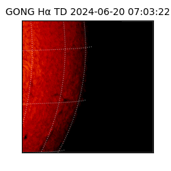 gong - 2024-06-20T07:03:22