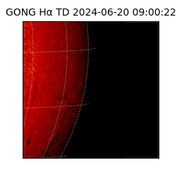 gong - 2024-06-20T09:00:22