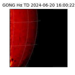 gong - 2024-06-20T16:00:22