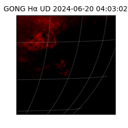 gong - 2024-06-20T04:03:02