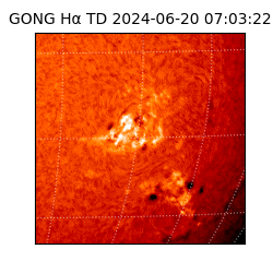 gong - 2024-06-20T07:03:22