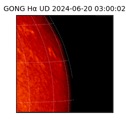 gong - 2024-06-20T03:00:02