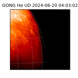 gong - 2024-06-20T04:03:02