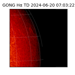 gong - 2024-06-20T07:03:22