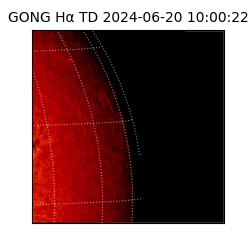 gong - 2024-06-20T10:00:22