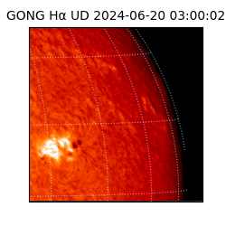 gong - 2024-06-20T03:00:02