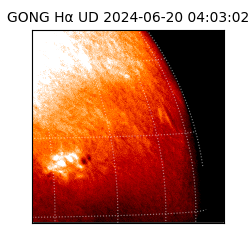 gong - 2024-06-20T04:03:02