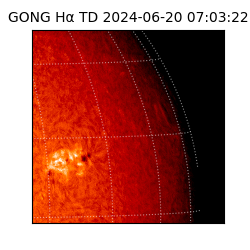 gong - 2024-06-20T07:03:22