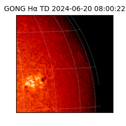 gong - 2024-06-20T08:00:22