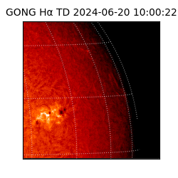 gong - 2024-06-20T10:00:22