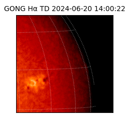 gong - 2024-06-20T14:00:22