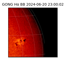 gong - 2024-06-20T23:00:02