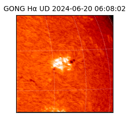 gong - 2024-06-20T06:08:02