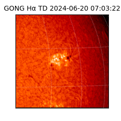 gong - 2024-06-20T07:03:22