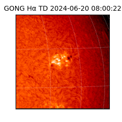 gong - 2024-06-20T08:00:22