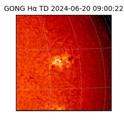 gong - 2024-06-20T09:00:22