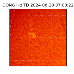 gong - 2024-06-20T07:03:22