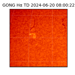 gong - 2024-06-20T08:00:22