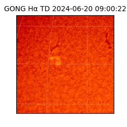 gong - 2024-06-20T09:00:22