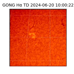 gong - 2024-06-20T10:00:22