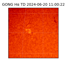 gong - 2024-06-20T11:00:22