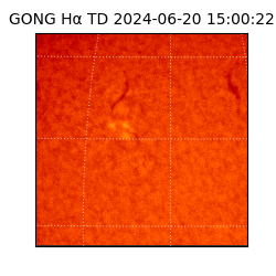 gong - 2024-06-20T15:00:22