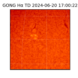 gong - 2024-06-20T17:00:22