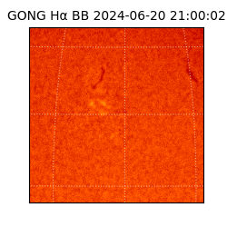 gong - 2024-06-20T21:00:02