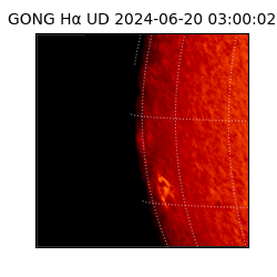 gong - 2024-06-20T03:00:02