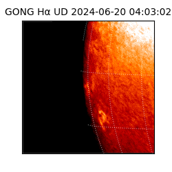 gong - 2024-06-20T04:03:02