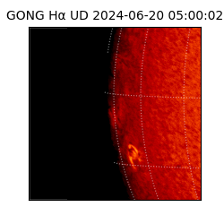 gong - 2024-06-20T05:00:02