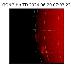 gong - 2024-06-20T07:03:22