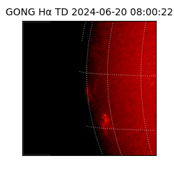 gong - 2024-06-20T08:00:22