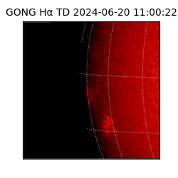 gong - 2024-06-20T11:00:22