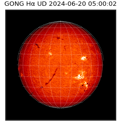 gong - 2024-06-20T05:00:02