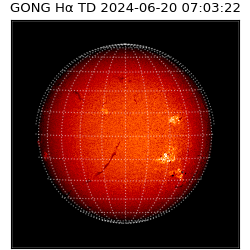 gong - 2024-06-20T07:03:22