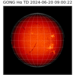 gong - 2024-06-20T09:00:22