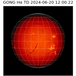 gong - 2024-06-20T12:00:22