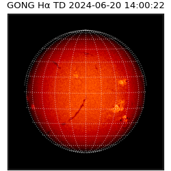 gong - 2024-06-20T14:00:22