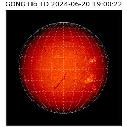 gong - 2024-06-20T19:00:22