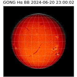 gong - 2024-06-20T23:00:02