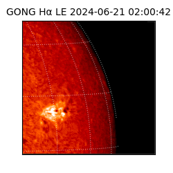 gong - 2024-06-21T02:00:42